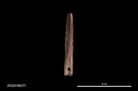 藏品(骨尖器)的圖片